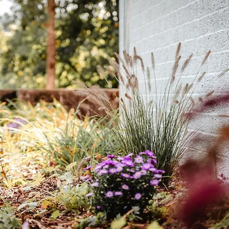 Granetal.quartier Lejlighedshotel