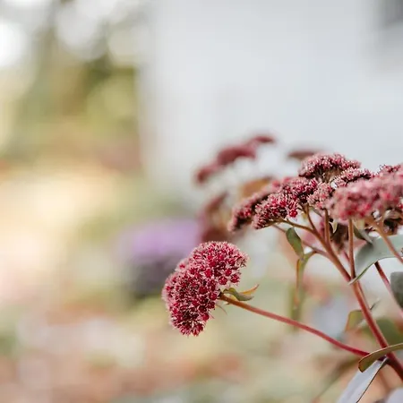 Granetal.quartier 3* Goslar