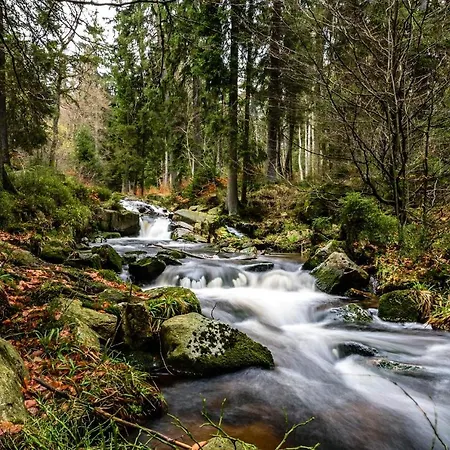 Lejlighedshotel Granetal.quartier Goslar